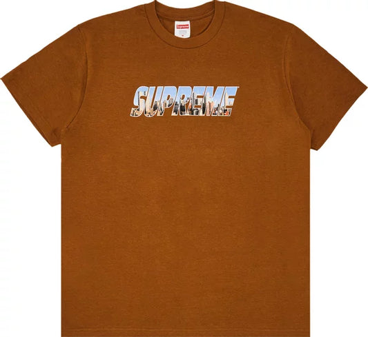 Supreme Gotham Tee Light Brown
