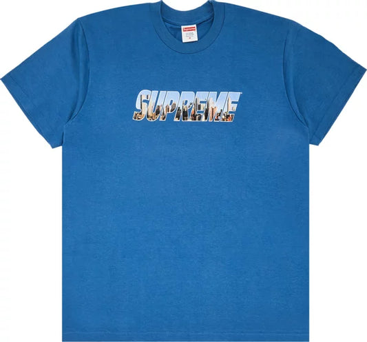 Supreme Gotham Tee Faded Blue